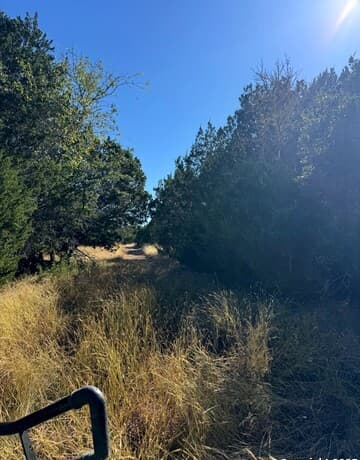 Home for sale at 1234 Fm 2828 in Bandera, TX — photo 5