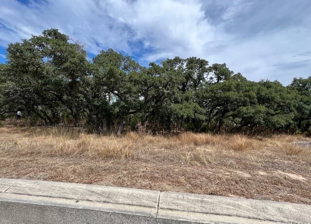 rental at LOT 29 Alberi in Boerne, TX — photo 2