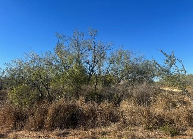 rental at LOTS 2456-2458 Ave. J in Christine, TX — photo 2