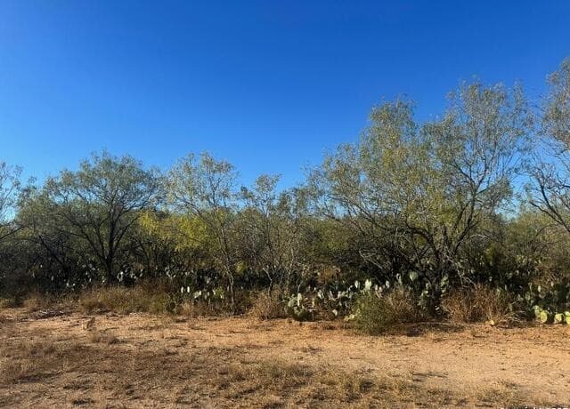 rental at LOTS 2451-2452 Ave. J in Christine, TX — photo 3