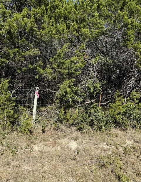 Home for sale at (LT) 396 Forest Trail Drive in Bandera, TX — photo 2