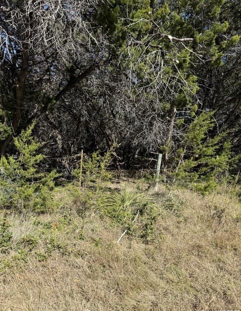 Home for sale at (LT) 396 Forest Trail Drive in Bandera, TX — photo 4