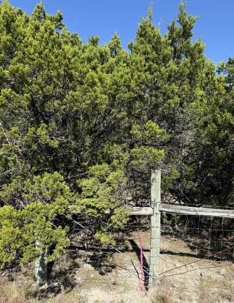 Home for sale at LT 391 Forest Trail Drive in Bandera, TX — photo 3