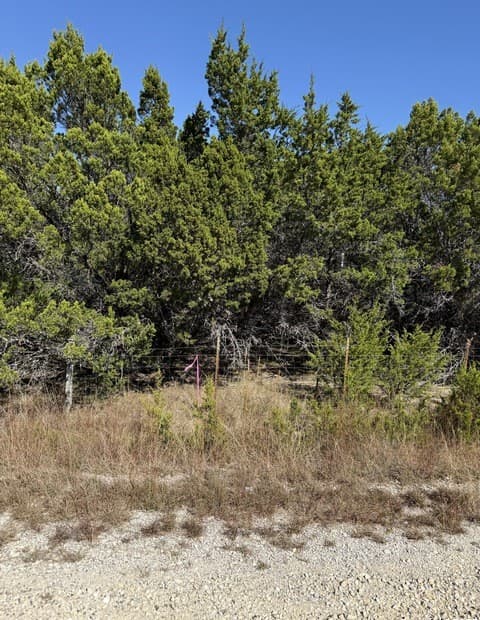 Home for sale at LT 392 Forest Trail Drive in Bandera, TX — photo 3