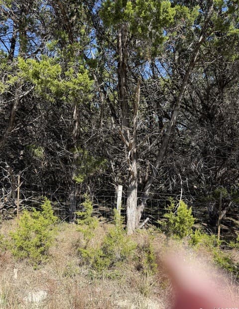 Home for sale at LT 392 Forest Trail Drive in Bandera, TX — photo 4