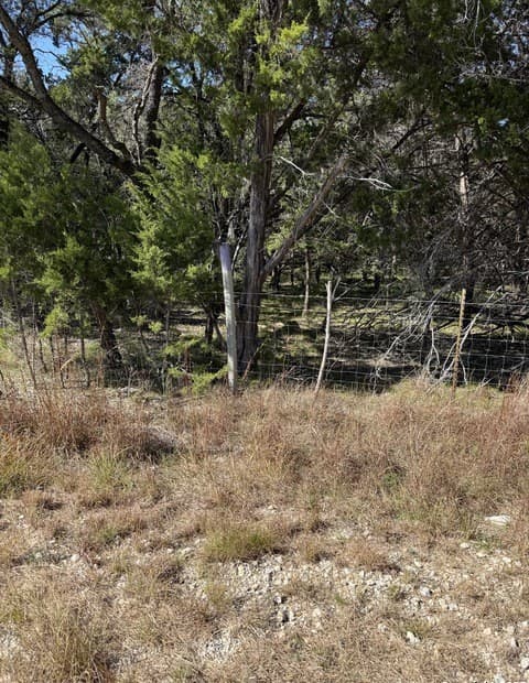 Home for sale at (LT)394 Forest Trail Drive in Bandera, TX — photo 2
