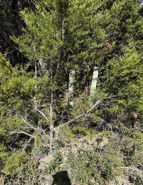 Home for sale at (LT)394 Forest Trail Drive in Bandera, TX — photo 4