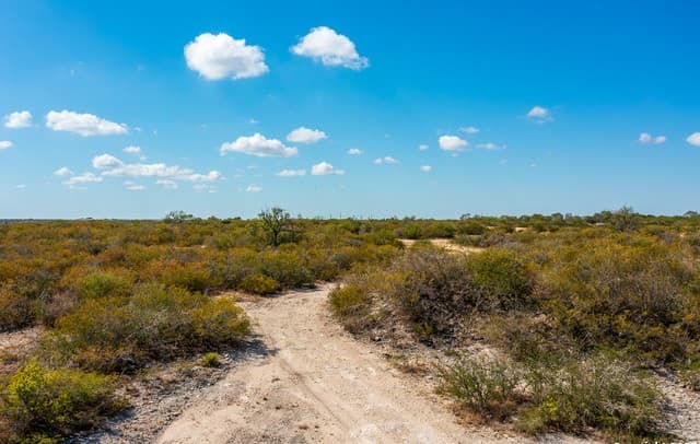rental at 840 County Road 652 in Devine, TX — photo 5