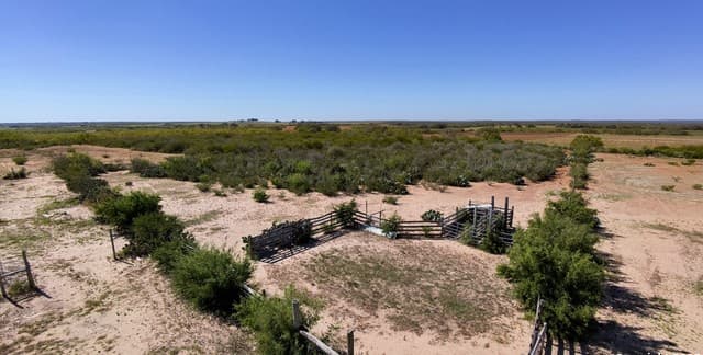 4-bedroom rental at 2198 Cr 653 in Devine, TX — photo 5