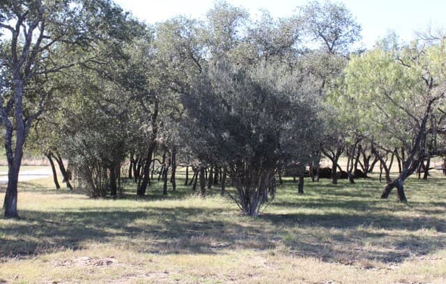 Home for sale at 300 Paradise Oaks Drive in Utopia, TX — photo 4