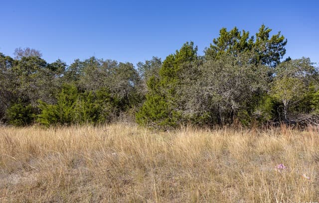 rental at BLOCK 3, LOT 1 Easy Money in Boerne, TX — photo 5
