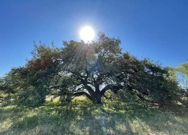 Home for sale at 970 Newman in Poteet, TX — photo 4