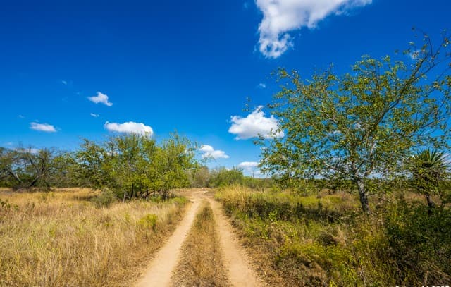 rental at CR 652 Cr 652 in Devine, TX — photo 4