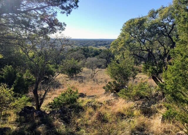 rental at 447 Coyote Trail in Spring Branch, TX — photo 1