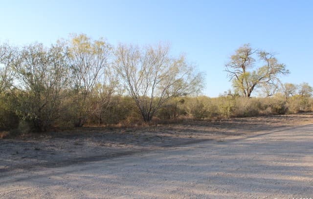 rental at 0000 County Road 339 in Jourdanton, TX — photo 4