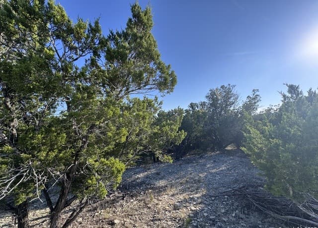rental at 205 Center Point Rd. in Bandera, TX — photo 1