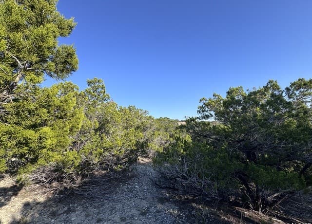 rental at 205 Center Point Rd. in Bandera, TX — photo 5