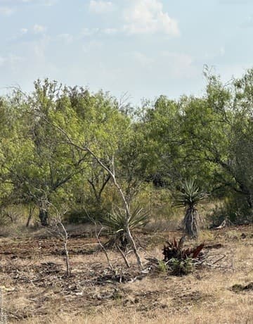 rental at 5894 Fm 1107 Unit A-Tract 2 in Stockdale, TX — photo 3