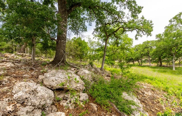 rental at LOT 9 Cielo Vista in Boerne, TX — photo 4