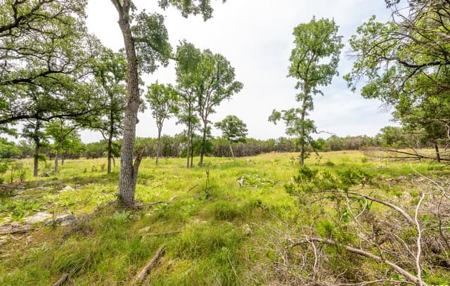 rental at LOT 9 Cielo Vista in Boerne, TX — photo 5