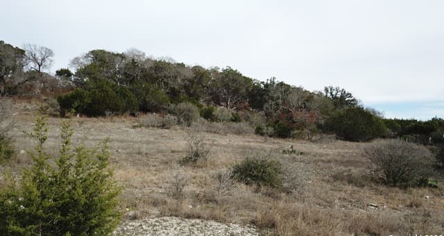 rental at 190 N Contour in Spring Branch, TX — photo 1