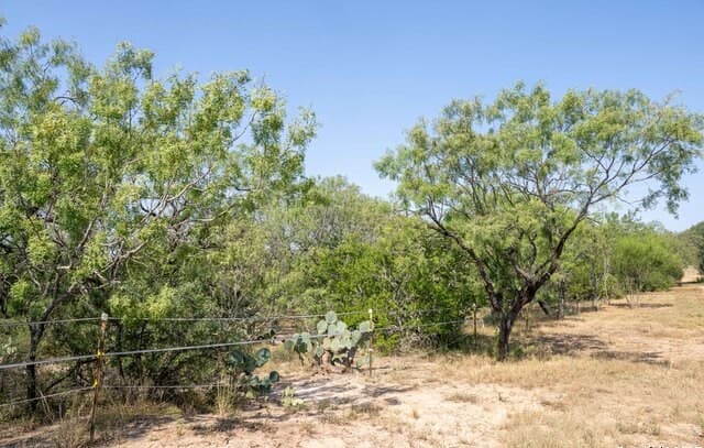 rental at TBD Pittman Rd in St Hedwig, TX — photo 5