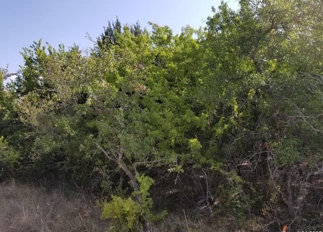 rental at 4734 Shady in Schertz, TX — photo 1