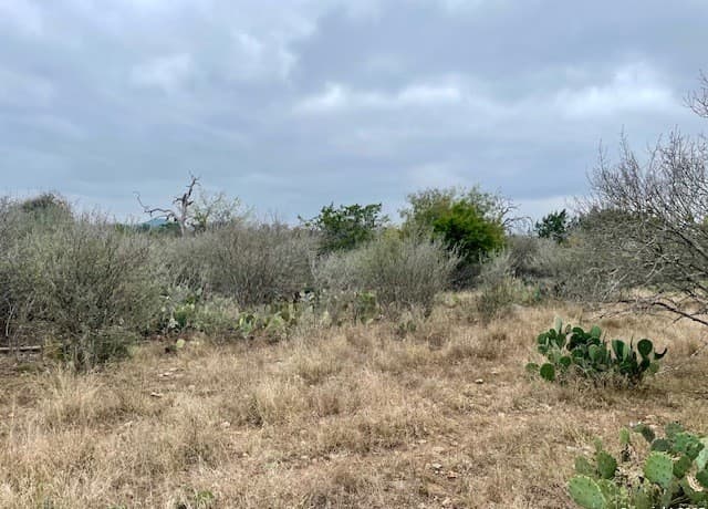 Home for sale at LOT 22 Brown Saddle in Bandera, TX — photo 2