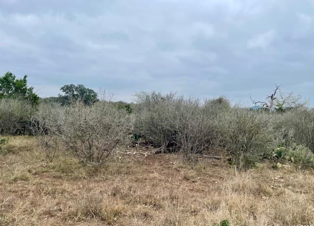 Home for sale at LOT 22 Brown Saddle in Bandera, TX — photo 3