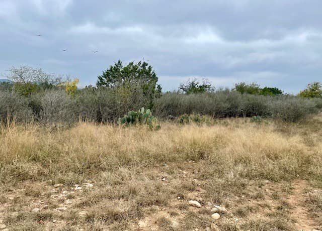 Home for sale at LOT 22 Brown Saddle in Bandera, TX — photo 5