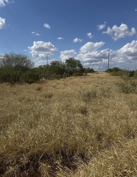 rental at 2438 Interstate 35 in Cotulla, TX — photo 2