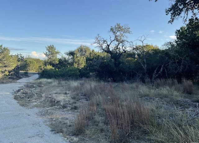 rental at 113 Champion Way in Spring Branch, TX — photo 4