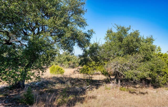 rental at 11 Wynstone in Boerne, TX — photo 5