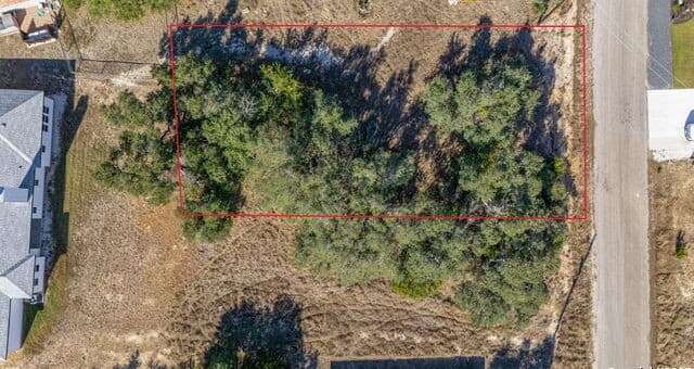 rental at 231 Peter Kleid Loop in Blanco, TX — photo 3