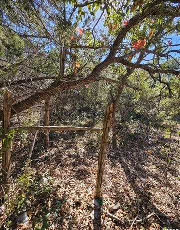 rental at 1290 Tee Pee in Spring Branch, TX — photo 4