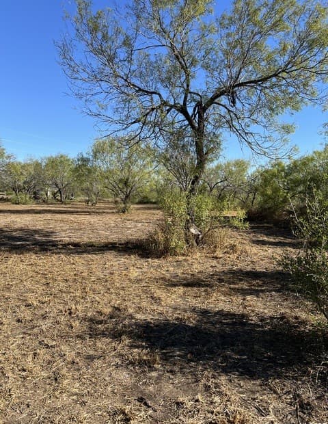 rental at 00 Mesquite and Mulberry in Jourdanton, TX — photo 1