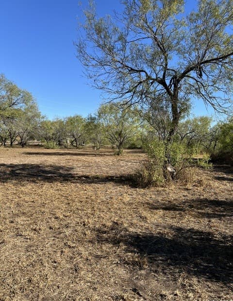 rental at 00 Mesquite and Mulberry in Jourdanton, TX — photo 2