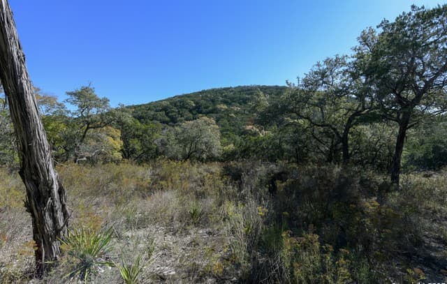 rental at 286 Private Road 1733 in Mico, TX — photo 3