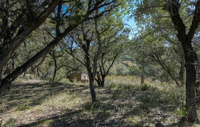 rental at 286 Private Road 1733 in Mico, TX — photo 4