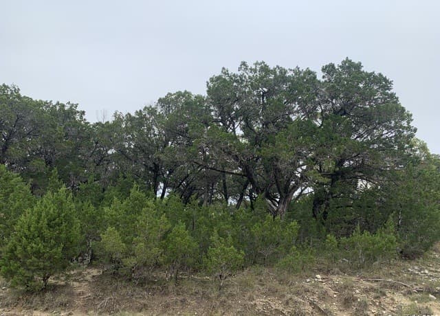 Home for sale at LOT 5 Sophie Dr. in Bandera, TX — photo 1