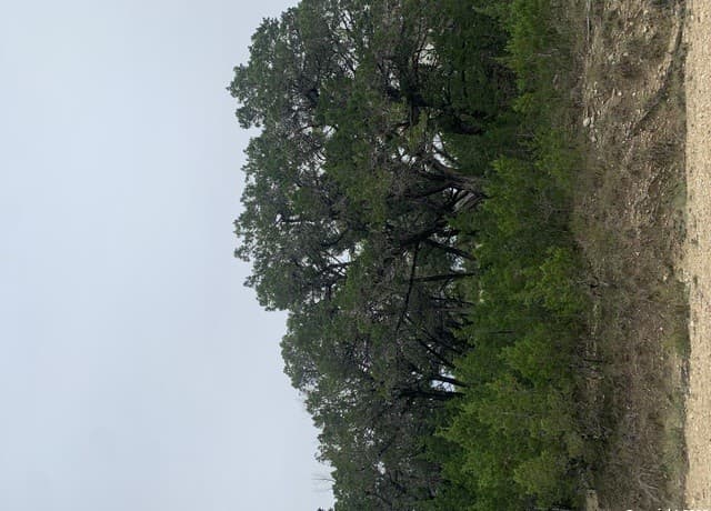 Home for sale at LOT 5 Sophie Dr. in Bandera, TX — photo 2