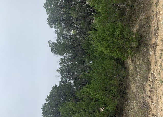 Home for sale at LOT 5 Sophie Dr. in Bandera, TX — photo 4