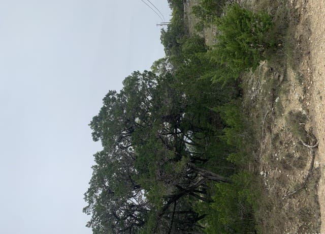 Home for sale at LOT 5 Sophie Dr. in Bandera, TX — photo 5