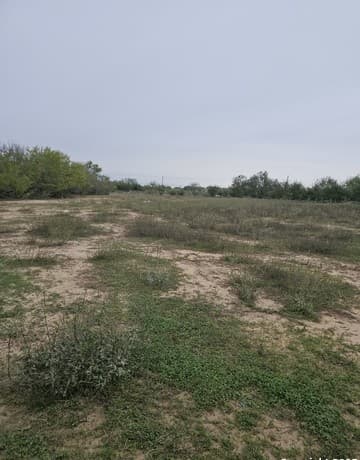 rental at 13407 Henze in San Antonio, TX — photo 5