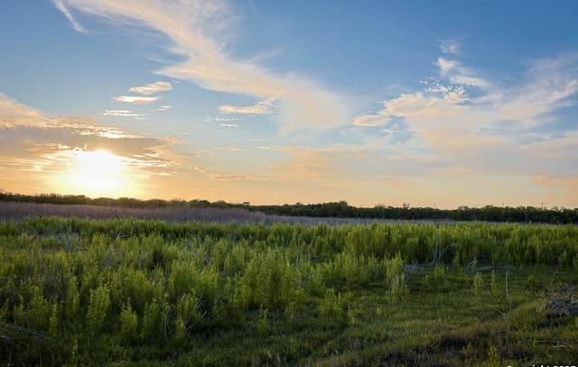 rental at A-735 Franklin Ranch Road in Tilden, TX — photo 1