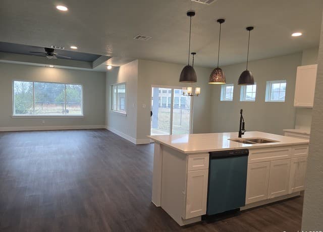 3-bedroom rental at 206 Lewis Todd in Blanco, TX — photo 3