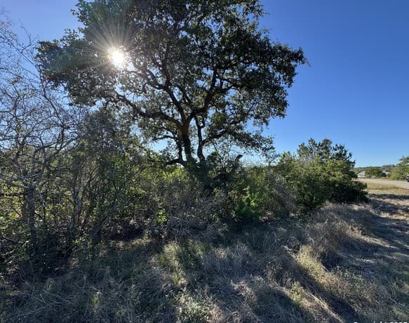 rental at LOT 193 County Road 2801 in Mico, TX — photo 3