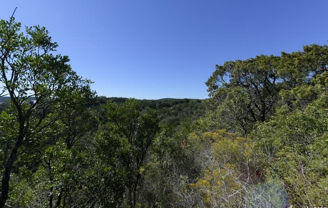 rental at 11304 Condor Pass in Helotes, TX — photo 1