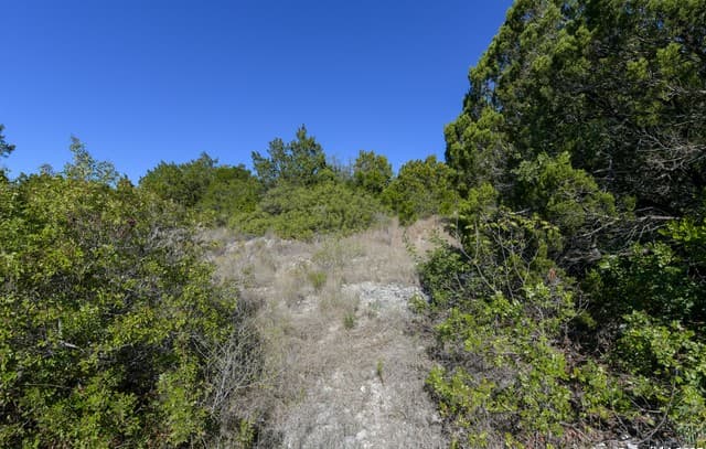 rental at 11304 Condor Pass in Helotes, TX — photo 3