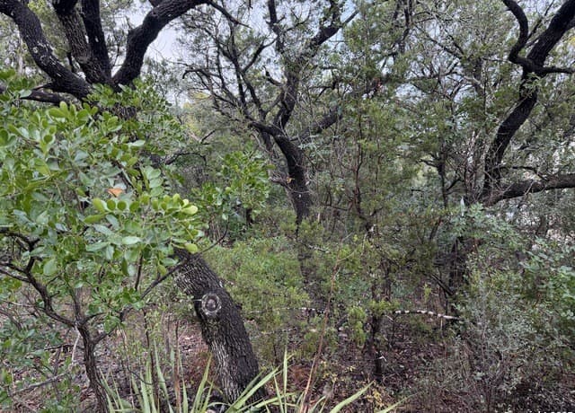 rental at 19011 Snuggle Cliff in San Antonio, TX — photo 5